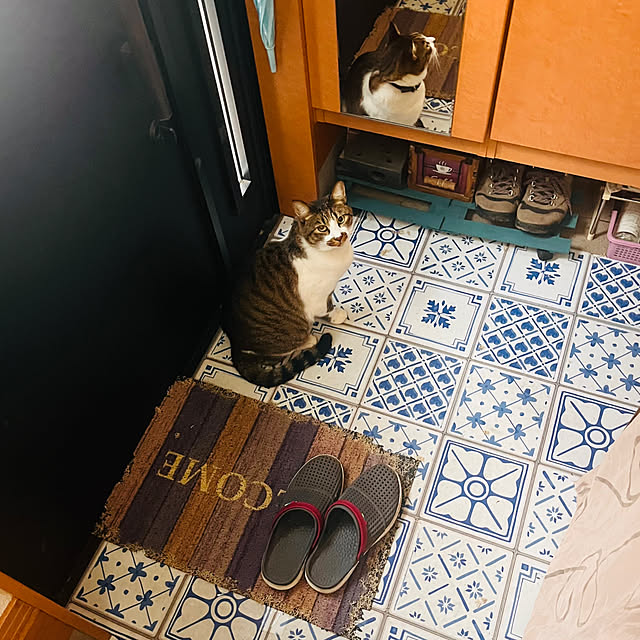 jijiさんの実例写真