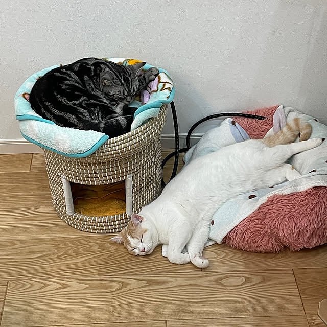 yumiさんの実例写真