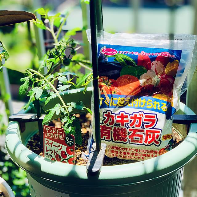 moonさんの部屋