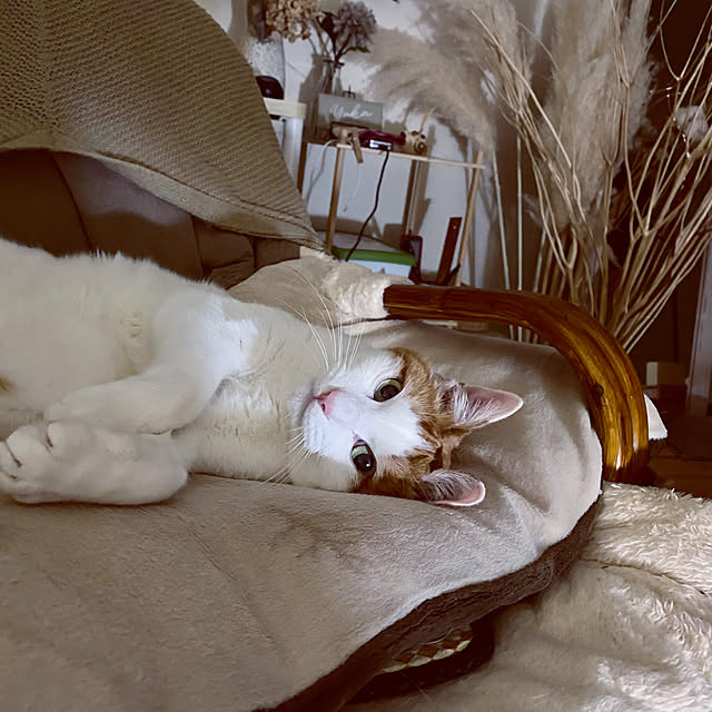 YUKAさんの実例写真