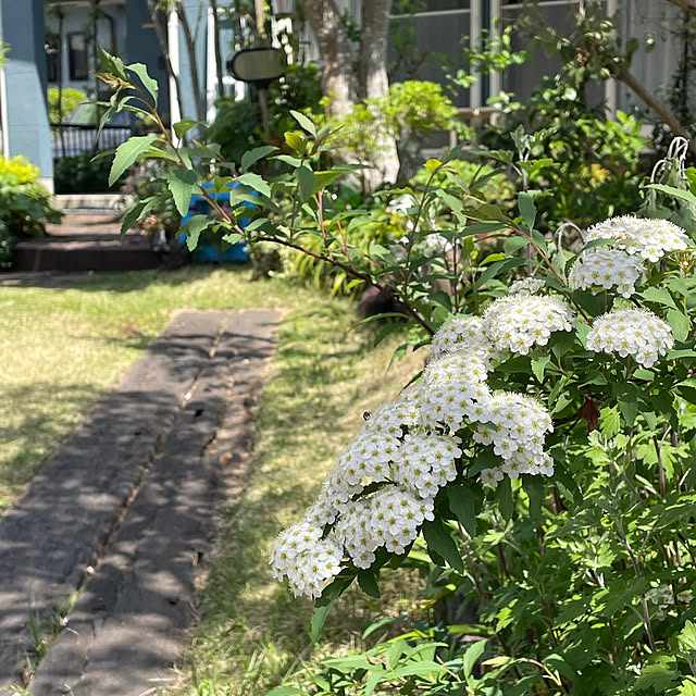 nobikoさんの部屋