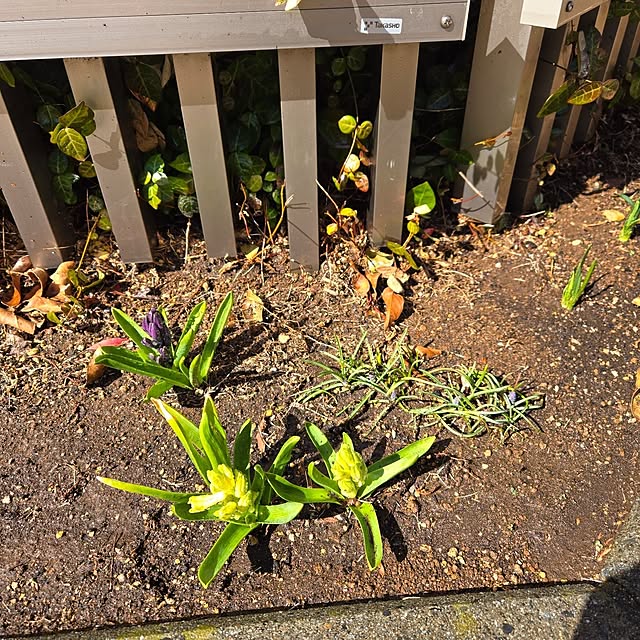 mutyukingさんの部屋