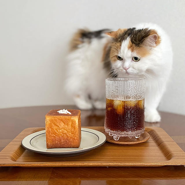 chulashihoさんの実例写真