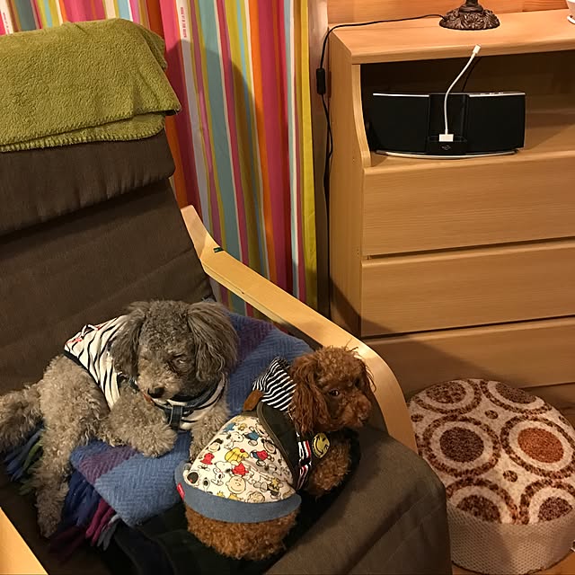 yokoさんの実例写真