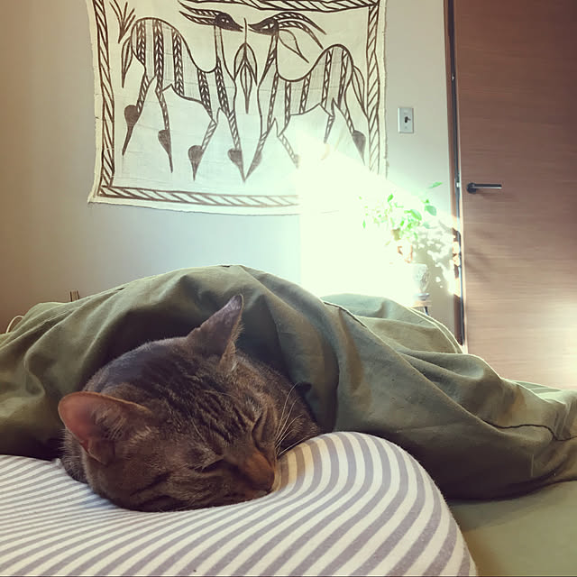 leiさんの実例写真