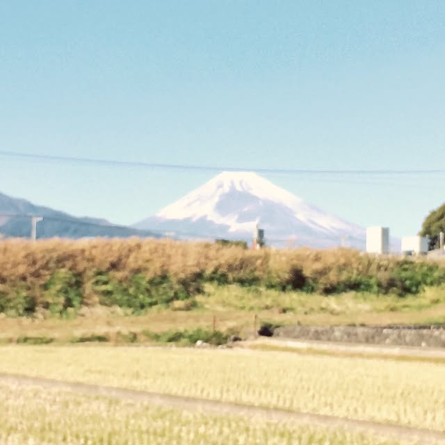 meeさんの実例写真