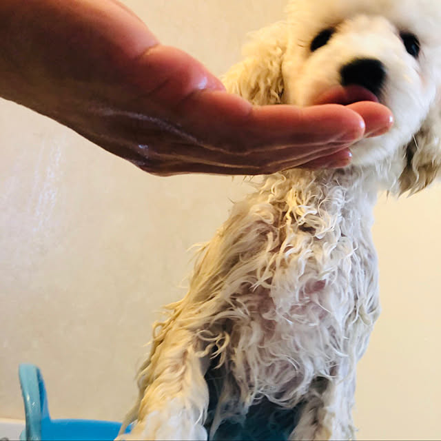 BUNさんの実例写真