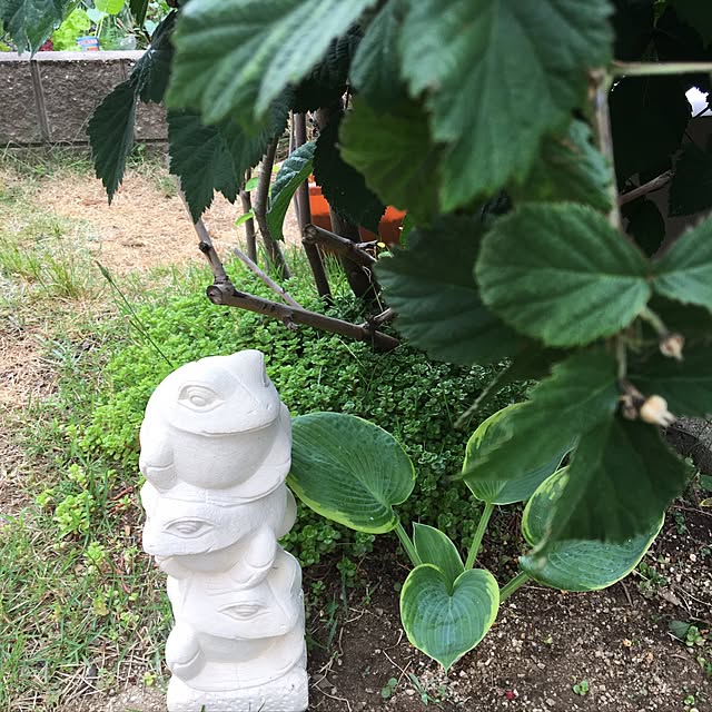 pixtupiさんの実例写真