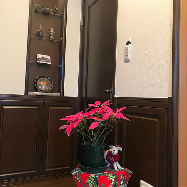 Ozawaさんの実例写真