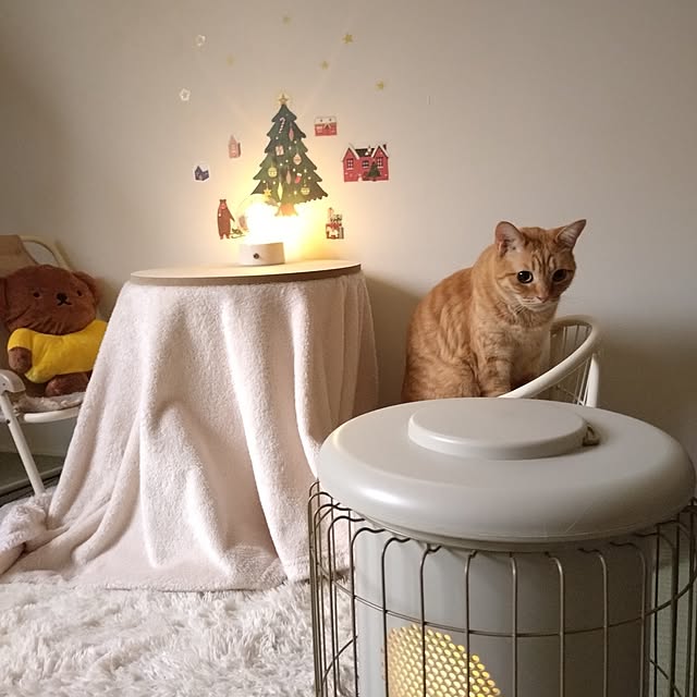 mayutan.さんの部屋