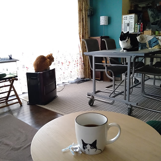 okyosan101さんの実例写真
