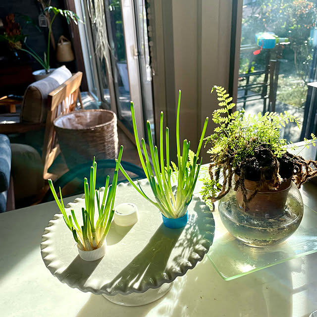 orangeさんの実例写真