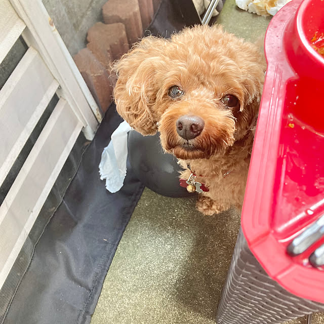 MOMOMAMAさんの部屋
