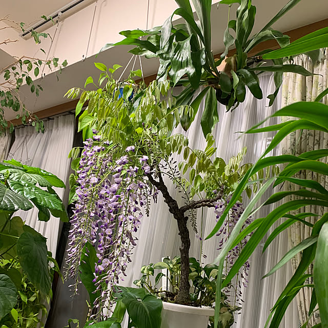 Aqettyさんの部屋