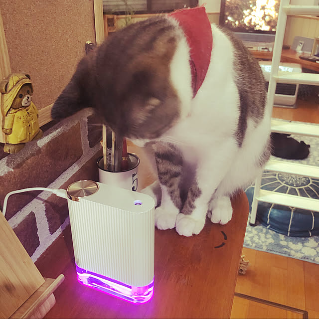 jijiさんの実例写真