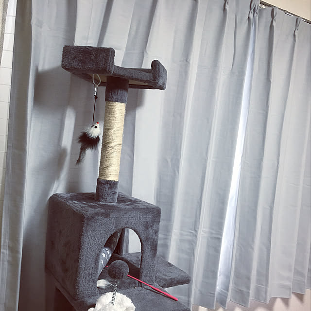ichicoさんの実例写真