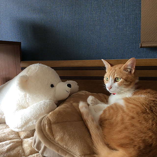 houenさんの実例写真