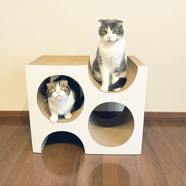 tansukeさんの実例写真