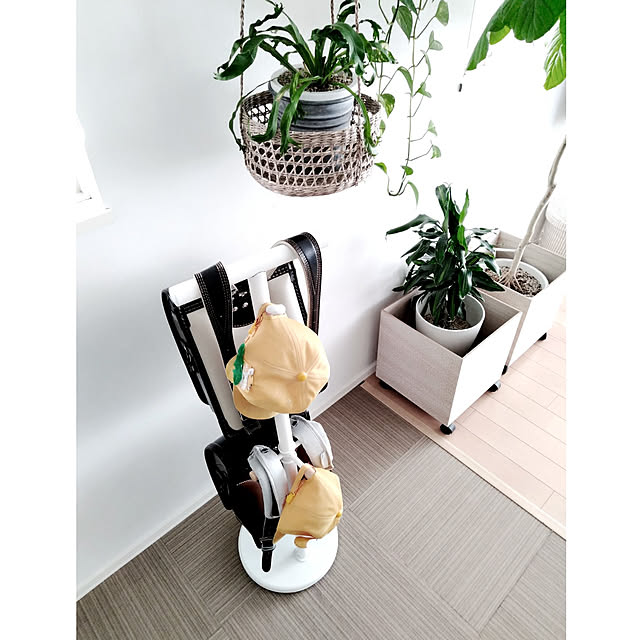 kodaminさんの実例写真