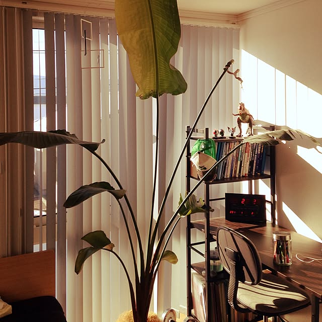 f02r1036nさんの実例写真