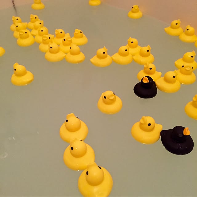juneさんの実例写真