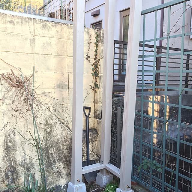 amiさんの実例写真