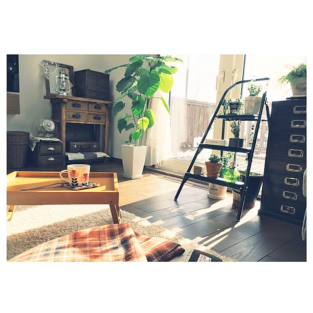 Ranさんの実例写真