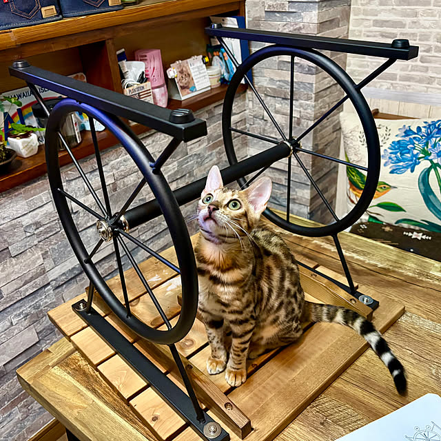 tututu0204さんの部屋