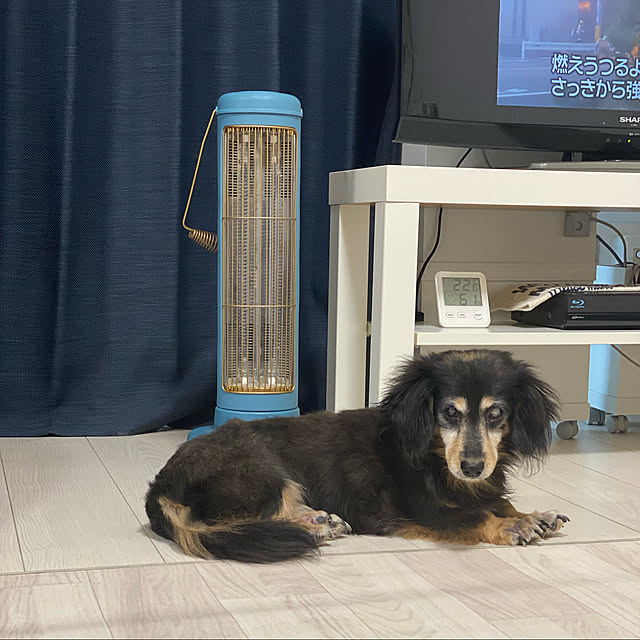 ohanaさんの実例写真