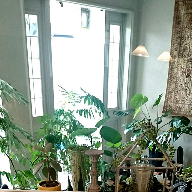 kimiさんの実例写真