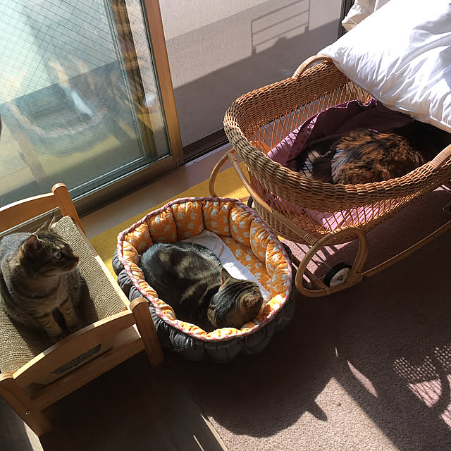 mikomaruさんの実例写真