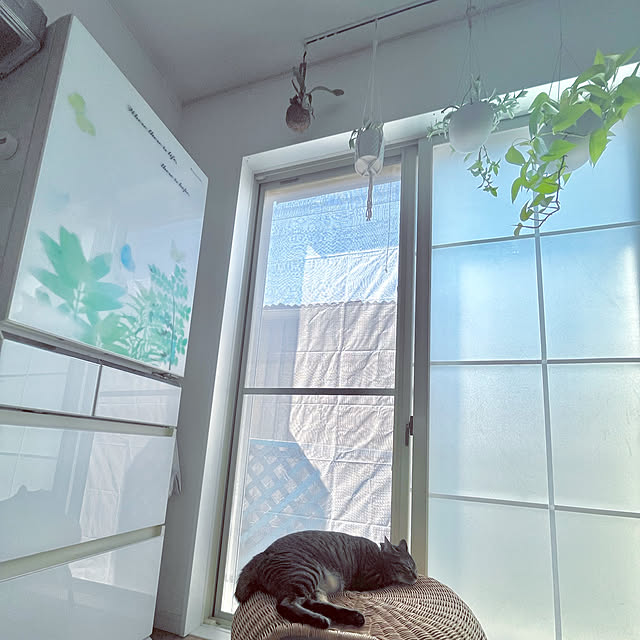 masamasaさんの実例写真