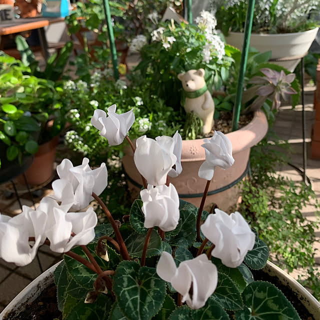 Aqettyさんの部屋