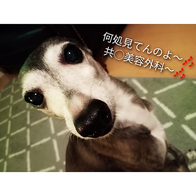 moruさんの部屋
