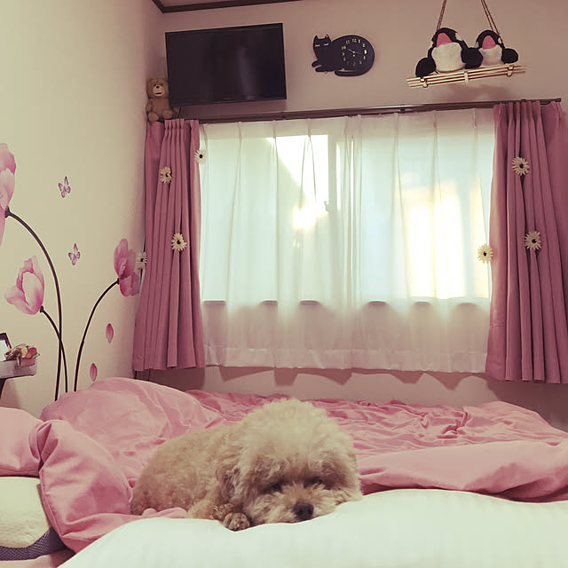 hima820さんの実例写真