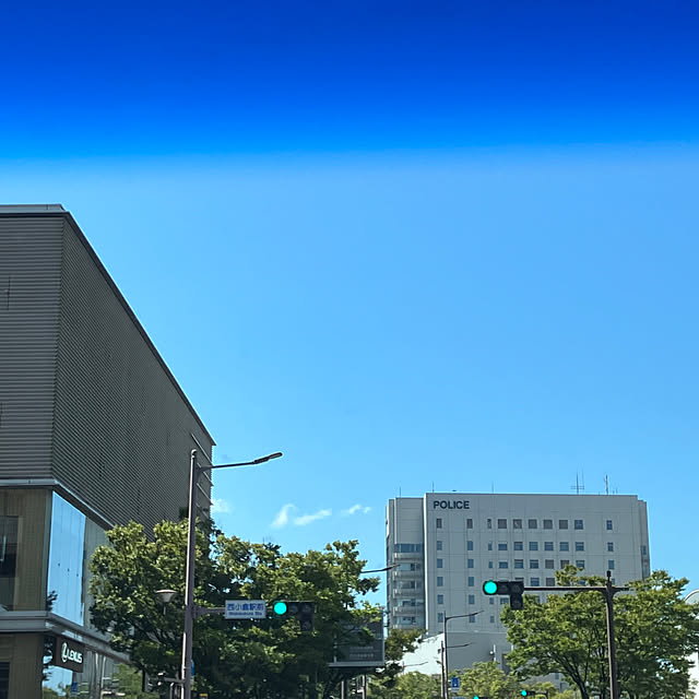 koshiregutyoさんの部屋