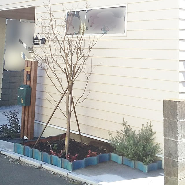 Maroさんの実例写真