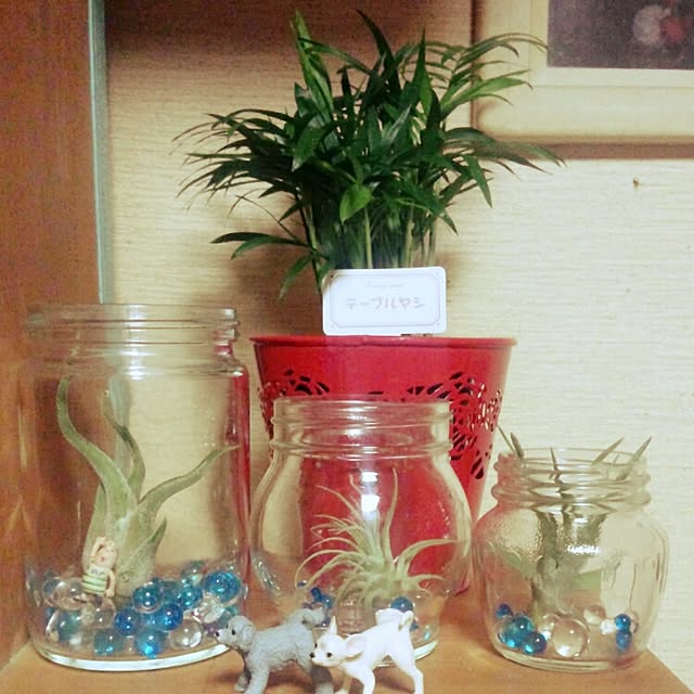 terajunさんの実例写真