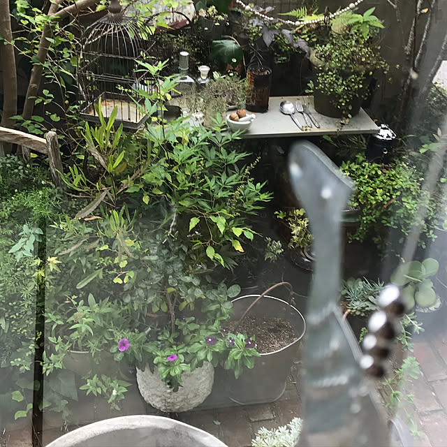 kazuuko0918さんの実例写真