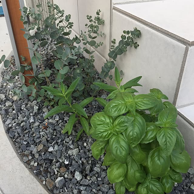 Fieldsさんの実例写真