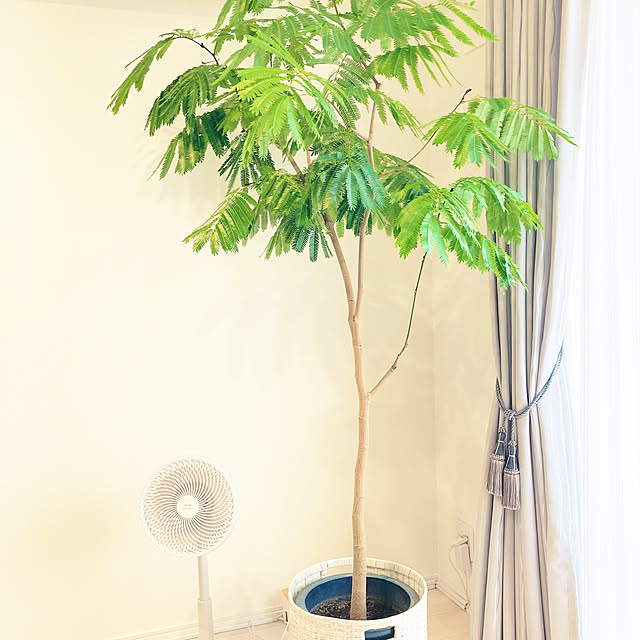 usagichanさんの部屋