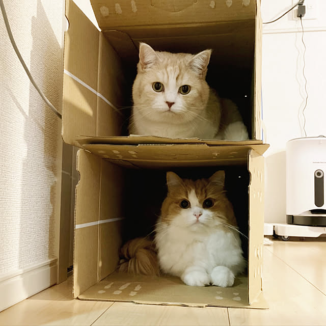 H.Tさんの実例写真