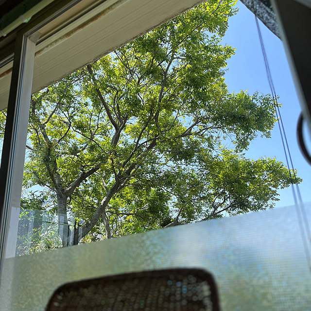 cloverさんの部屋