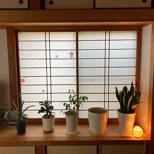 mamaさんの実例写真