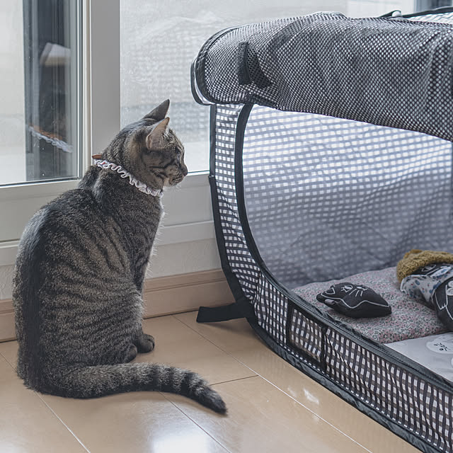 oliveさんの実例写真