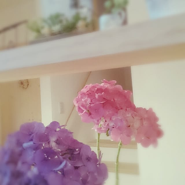 mayumiさんの実例写真