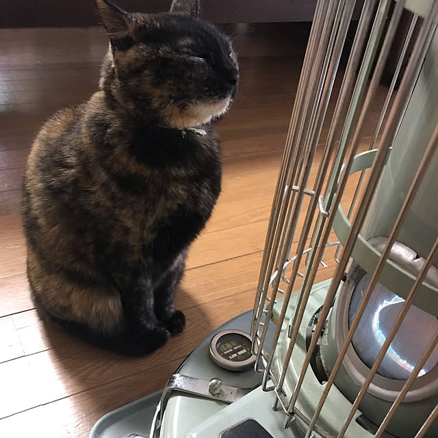 gggさんの実例写真