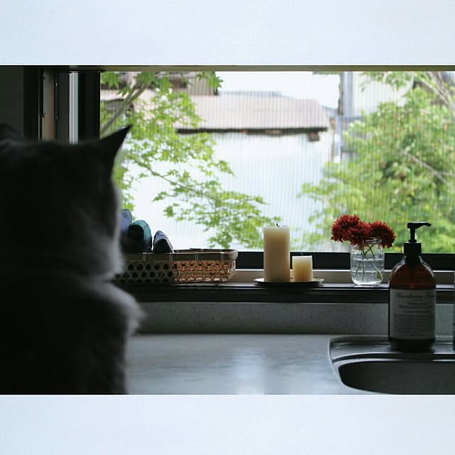 kurumin5さんの実例写真
