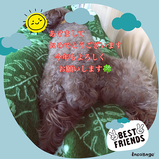 MIYUさんの実例写真