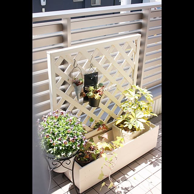 garden_life_saiさんの実例写真
